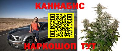 гидропоника Пушкино