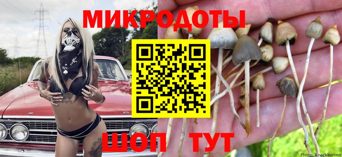 ГАШ  Серов  ГАШ  Вход с VPN  Марихуана  Продажа наркотиков  МЕФ   Cocaine 
